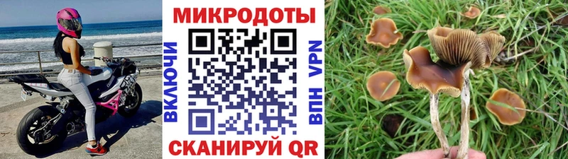 что такое наркотик  ОМГ ОМГ вход  Псилоцибиновые грибы прущие грибы  Южно-Сахалинск 